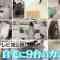 220410 Kaji Yarou!!! Masterpiece Selection – ex-HKT48 Sashihara Rino & ex-AKB48 Shinoda Mariko – HD.mp4-00002