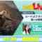 220415 [Guest Misawa Sachika] ‘Lord of the Rings The Dawn of the Battle’ Challenging The New Smartphone Strategy Game – ex-Nogizaka46 Sasaki Kotoko – FHD.mp4-00006