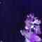 220419 NMB48 Theater Performance 1830 – HD.mp4