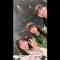Screenshot_1