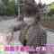 220606 Tsurube no Kazoku ni Kanpai – ex-AKB48 Kawaei Rina – HD.mp4-00002