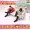 220612 Haruna Zaki-san no Tada no Tsuuhan Janeyo! – Nogizaka46 Yamazaki Rena – HD.mp4-00003