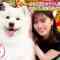 220616 Ura Torechaimashita – ex-Nogizaka46 Shiraishi Mai – HD.mp4-00014