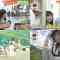 220618 Doyou wa Nani Suru! – ex-Nogizaka46 Ito Nene & ex-AKB48 Itano Tomomi Cut – HD-tile