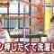 220623 Shigoto to Okane no Majime na Hanashi – Nogizaka46 Yamashita Mizuki & ex-Nogizaka46 Takayama Kazumi – HD.mp4-00009