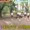 220625 Watashi ga Joyuu ni Naru Hi Season 2 – ex-Nogizaka46 Takayama Kazumi – HD.mp4-00008