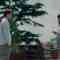 220712 Risou no Kareshi 07 – ex-Nogizaka46 Hori Miona – HD.mp4-00016