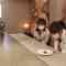 220712 SKE48 to Chotto Soko Made – HD.mp4-00005