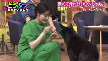 220714 Ura Torechaimashita – ex-Nogizaka46 Shiraishi Mai – HD.mp4-00001
