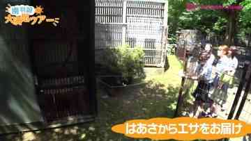 220722 Shin YNN NMB48 CHANNEL – Minami Haasa Graduation Trip ‘Dai Manzoku Tour’ – FHD.mp4-00004