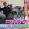 220725 Kiseki no Douga Dai Shuugou! Kami Eizou Grand Prix – AKB48 Honda Hitomi – HD.mp4-00006