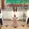 220806 Cunning Takeyama no Ichiban Kenkyuujo – ex-Nogizaka46 Ito Karin, Sagara Iori, Nakada Kana – HD.mp4-00012