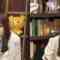 220817 Nekojita SHOWROOM – Nogizaka46 – HD.mp4-00004