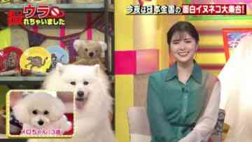 220818 Ura Torechaimashita – ex-Nogizaka46 Shiraishi Mai – HD.mp4-00012