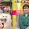 220818 Ura Torechaimashita – ex-Nogizaka46 Shiraishi Mai – HD.mp4-00012
