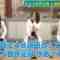 220820 Cunning Takeyama no Ichiban Kenkyuujo – ex-Nogizaka46 Ito Karin, Sagara Iori, Nakada Kana – HD.mp4-00001