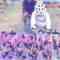 220828 24Hours TV 45 – AKB48 Cut – FHD.mp4-00002