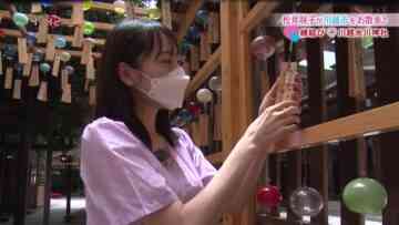 220829 Anata to Tsukuru Machi Communication Jouhou Bangumi ‘Machikomi’ Net – ex-AKB48 Matsui Sakiko Cut – HD.mp4-00004