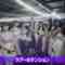 220902 [Manager photo] Sneaking Behind The Scenes of Manatsu no Zenkoku Tour 2022 in Osaka! [Backstage Camera] – Nogizaka46 – FHD.mp4-00006