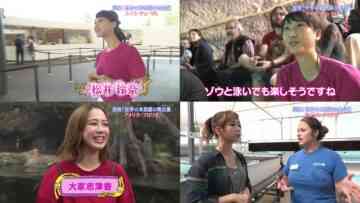 220917 Tanken! Sekai no Doubutsuen no Butaiura THE WORLD ZOO TOUR – ex-SKE48 Matsui Rena & ex-AKB48 Oya Shizuka – HD-tile