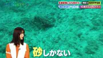 220924 Hasshin! Mirai Creator – ex-Keyakizaka46 Nagahama Neru – HD.mp4-00007