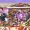 221001 All Star Kanshasai ’22 Autumn – ex-Nogizaka46 Takayama Kazumi – HD.mp4-00003