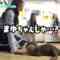 221016 Shin YNN NMB48 CHANNEL – Yamamoto Hikaru Presents ‘Pikapika! Aki Kibun’ 2 – FHD.mp4-00001