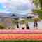 221129 AKB48, Saikin Kiitayo ne… – HD.mp4-00013