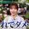 221205 Getsuyou no Kaeru, Taikai wo Shiru. – ex-HKT48 Sashihara Rino – HD.mp4-00010