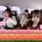 221206 AKB48, Saikin Kiitayo ne… – HD.mp4-00009