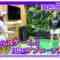 221211 [Special Collaboration Festival] Namiki-san and Higuchi Hina Tried Golf Simulation Together! [Part 1] – ex-Nogizaka46 Higuchi Hina – FHD.mp4-00005