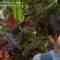 221213 7 Rules – ex-Keyakizaka46 Nagahama Neru – HD.mp4-00003