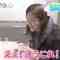 230126 ZIP! – ex-SKE48 Goto Rara Cut – HD.mp4-00005