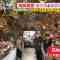 230127 Asadesu. KBC – HKT48 Matsuoka Hana Cut – HD.mp4-00001