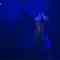 230115 STU48 Theater Performance 1400 – HD.mp4