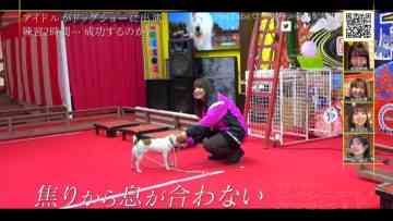 230212 SKE48 no Mikanzen TV – HD.mp4-00002