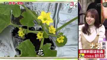 230220 Quiz Presen Variety Q Sama!! – ex-Nogizaka46 Takayama Kazumi, Shinuchi Mai – HD.mp4-00014
