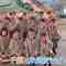 230221 AKB48, Saikin Kiitayo ne… – HD.mp4-00003