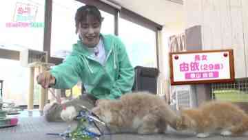 230222 Neko Nyan! Kawaii Koneko Dai Shuugou – ex-AKB48 Yokoyama Yui – HD.mp4-00006