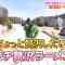 230222 Petit Brunch – ex-HKT48 Murashige Anna Cut – HD.mp4-00002