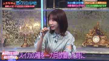230303 Hitoshi Matsumoto no Sake no Tsumami ni Naru Hanashi – AKB48 Kashiwagi Yuki & ex-HKT48 Murashige Anna – HD.mp4-00007