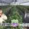 230303 Shichouson Tekuteku Sanpo – AKB48 Takahashi Ayane, Hidaritomo Ayaka – HD.mp4-00006