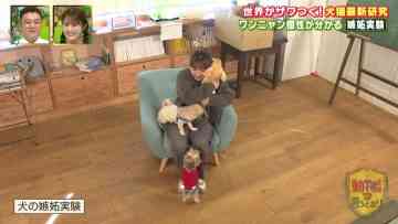230305 Doubutsu-sama no Iu Touri – NMB48 Shibuya Nagisa & ex-AKB48 Noro Kayo – HD.mp4-00002