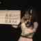 230307 SKE48 Theater Performance 1830 – HD.mp4