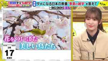 230314 Konya wa Nazotore – Sakurazaka46 Onuma Akiho – HD.mp4-00001