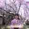 230401 Tonight 8pm Live Broadcast! Miyabina Kyoto Sakura at Heian Shrine – ex-AKB48 Yokoyama Yui – HD.mp4-00002
