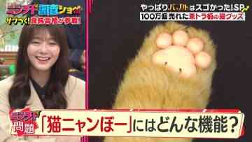 230420 Ninchido Chousa Show 2Hours SP – Sakurazaka46 Tamura Hono – HD.mp4-00001
