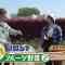 230430 Syumi no Engei Yasai no Jikan – ex-AKB48 Oya Shizuka – HD.mp4-00002