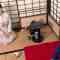 230521 NHK Haiku – Nogizaka46 Nakanishi Aruno – HD.mp4-00001