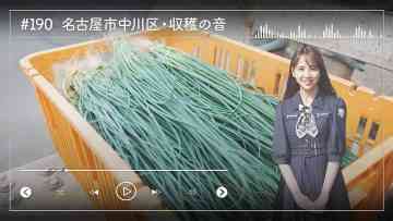 230525 Nogizaka46 Sato Kaede Neiroisan ~Aichi 69-shiku Chouson no Oto Atsume~ 190 – Nogizaka46 Sato Kaede – HD